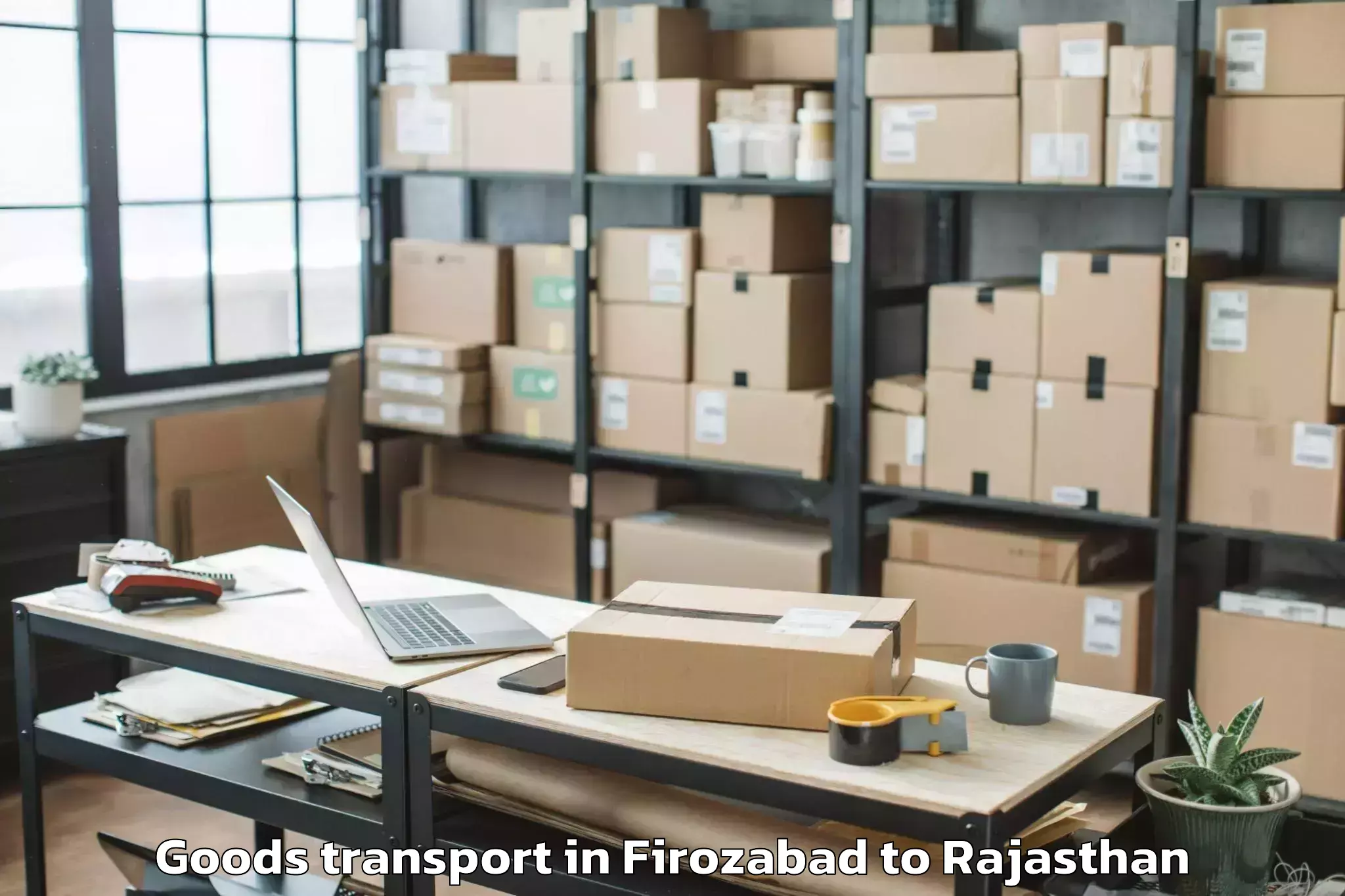 Book Firozabad to Sagwara Goods Transport